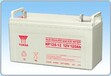 汤浅UPS蓄电池原厂正版全国联保12V免维护蓄电池