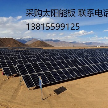 河北张北回收降级光伏板拆卸电池板测试组件抵债太阳能发电板