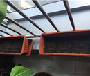 阳台小草莓栽培怎样施肥图片