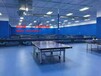 活动室专用乒乓球地板乒乓球运动地板PVC塑胶地板