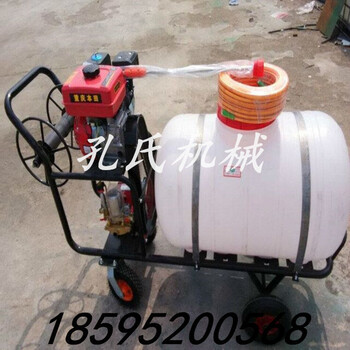 手推式大容量打藥機(jī)果園噴藥機(jī)