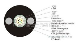 8芯单模光缆报价，福建8芯光缆价格，GYTS-8B1光缆价格图片5