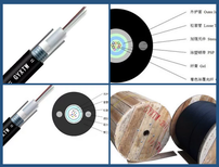 8芯单模铠装光缆价格，辽宁8芯光纤多少钱图片1