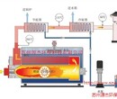 苏州燃气锅炉冷凝器燃气锅炉节能方案设计源杰供图片
