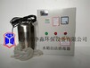 供应河北水箱自洁消毒器WTS-2B臭氧发生器