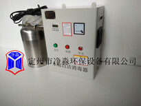 供应河北水箱自洁消毒器WTS-2B臭氧发生器图片2