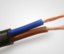 国标电源线护套线RVV2X2.5铜芯电线电缆2芯2.5平方软线