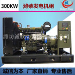 300KW潍柴发电机组WP13D385E200斯太尔柴油发电机工厂图片2