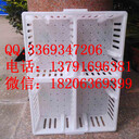 加厚雞苗鴨苗塑料筐周轉(zhuǎn)筐