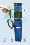 耐高溫小型潛水泵，熱水小型高壓水泵圖片4
