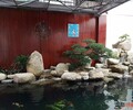 廣州做假山魚池，番禺做魚池假山，做魚池過濾系統
