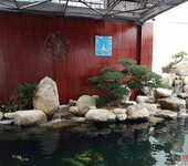 广州做假山鱼池，番禺做鱼池假山，做鱼池过滤系统