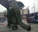 山东潍坊巡游机械大象出租梦幻灯光节出租图片