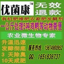 水產專家教你“肥、活、嫩、爽”的池塘水質調控方法