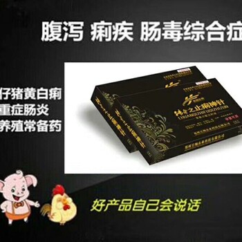 猪牛羊拉肚子怎么办?患有病毒性疾病怎么预防?