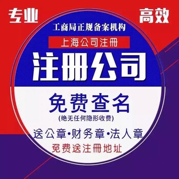上海泗泾注册公司代办公司注册注销等商务服务