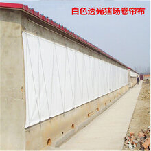 福建防水帆布厂三明防寒卷帘透光卷帘帆布耐用卷帘布图片