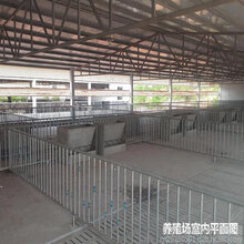 养殖场卷帘布的优势防雨防寒卷帘卷帘布的特点图片