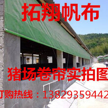 供应广东防风卷帘抗寒猪场卷帘布梅州保暖养殖场透光篷布河源卷帘批发商图片