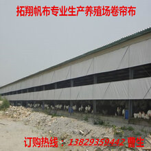 新疆保温拓翔卷帘布乌鲁木齐蓬布卷帘材质质量阿克苏透光防雨耐老化窗帘布图片