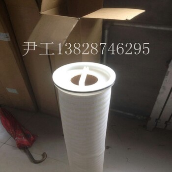 臺(tái)灣LIQUATEC大流量折疊濾芯MFH-C50-4-ESN現(xiàn)貨供應(yīng)