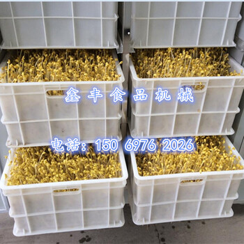 河南信阳小型豆芽机厂家大型豆芽生产设备价格