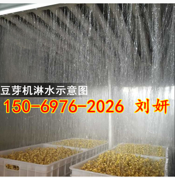 青岛全自动豆芽机厂家多功能豆芽机器设备小型豆芽机