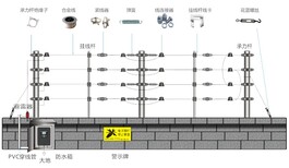 图片0