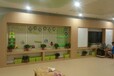pvc地板塑胶地板韩国进口品牌捷宝晶美莱系列医院专用同透地板