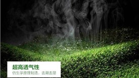 人造人工草坪草皮地毯双色草坪地毯人造装饰图片1