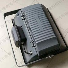 上海亚明体育场馆投光灯ZY7003/2000W双端金卤灯泛光灯图片