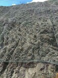 大连施工承接喷播植草被动防护网挂网喷砼客土喷播技术成熟图片5