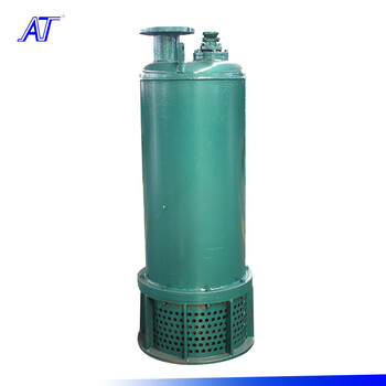 矿用立式排污泵生产厂家BQS25-320/6-55/N