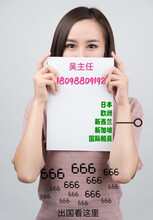 恒温车间水产加工（鱼类切割、包装等）