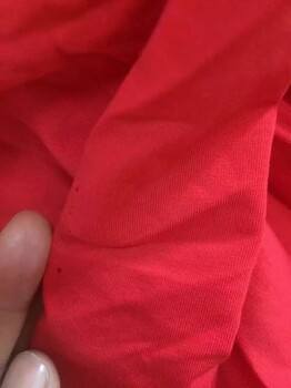 糖果色精梳萊卡棉（拉架）批發(fā)