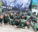广州野外拓展训练价格东莞军途拓展增加企业凝聚力