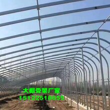 林州热镀锌管保温暖棚批发价格3070椭圆管图片