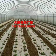 齐齐哈尔椭圆管批发图片