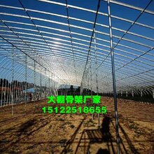 虎林镀锌管批发图片