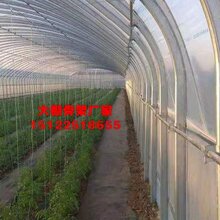 绥化养殖大棚管批发图片