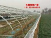 杭州32镀锌管冬暖大棚平米单价3070椭圆管