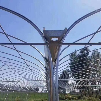 榆樹冬暖果樹大棚折彎加工廠