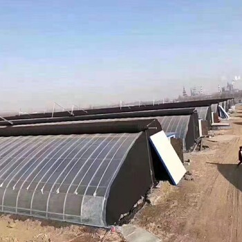 雙城保溫蔬菜橢圓管大棚加工廠