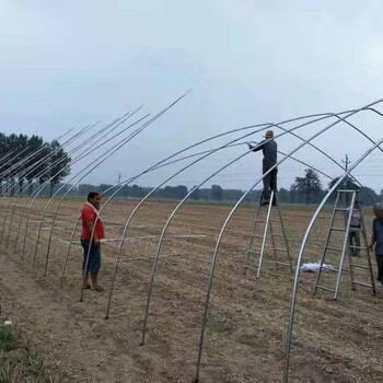 合肥熱鍍蔬菜橢圓管大棚加工廠