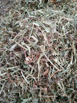 花生秧新價(jià)格花生秧多少錢(qián)一噸