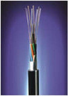 阻燃48芯光缆多少钱，GYTA53-48B1直埋式光纤图片2