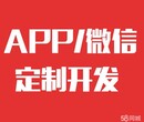 安徽蚌埠APP开发，微信公众号开发运营