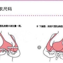 贝尔女王内衣_贝尔摩德内衣性感图片(3)