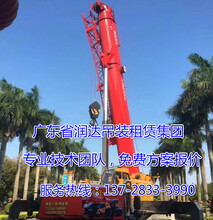洪梅吊装麻涌100吨220吨至650吨吊车出租公司服务于全广东地区