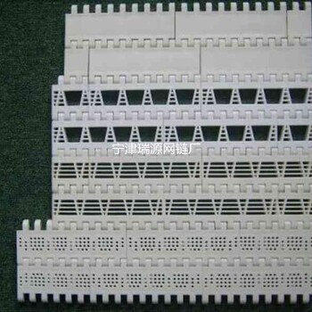 德州瑞源RY-70食品级塑料网带尼龙网带模块链板式网带